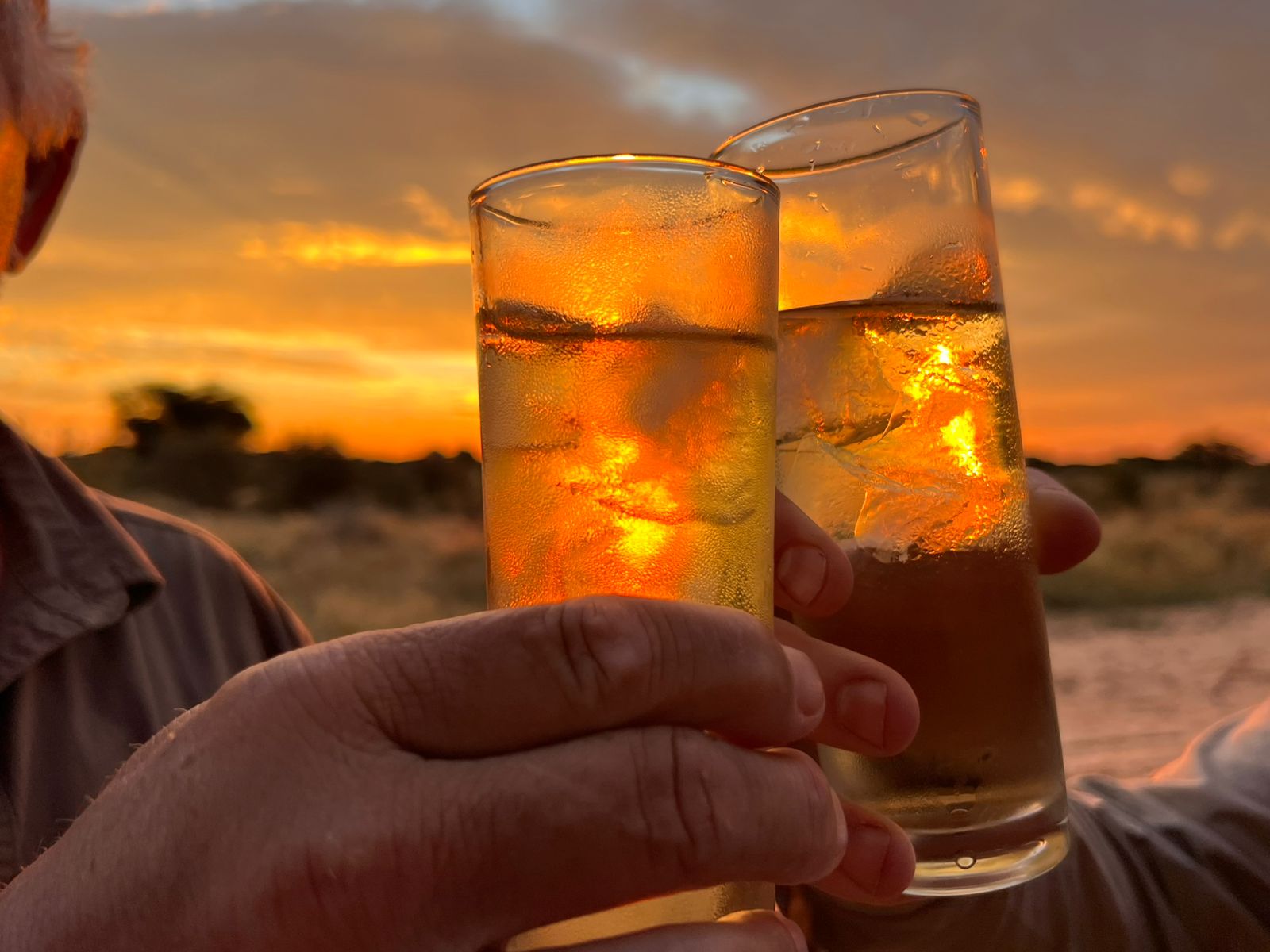 Sundowner toast at last light in the bush