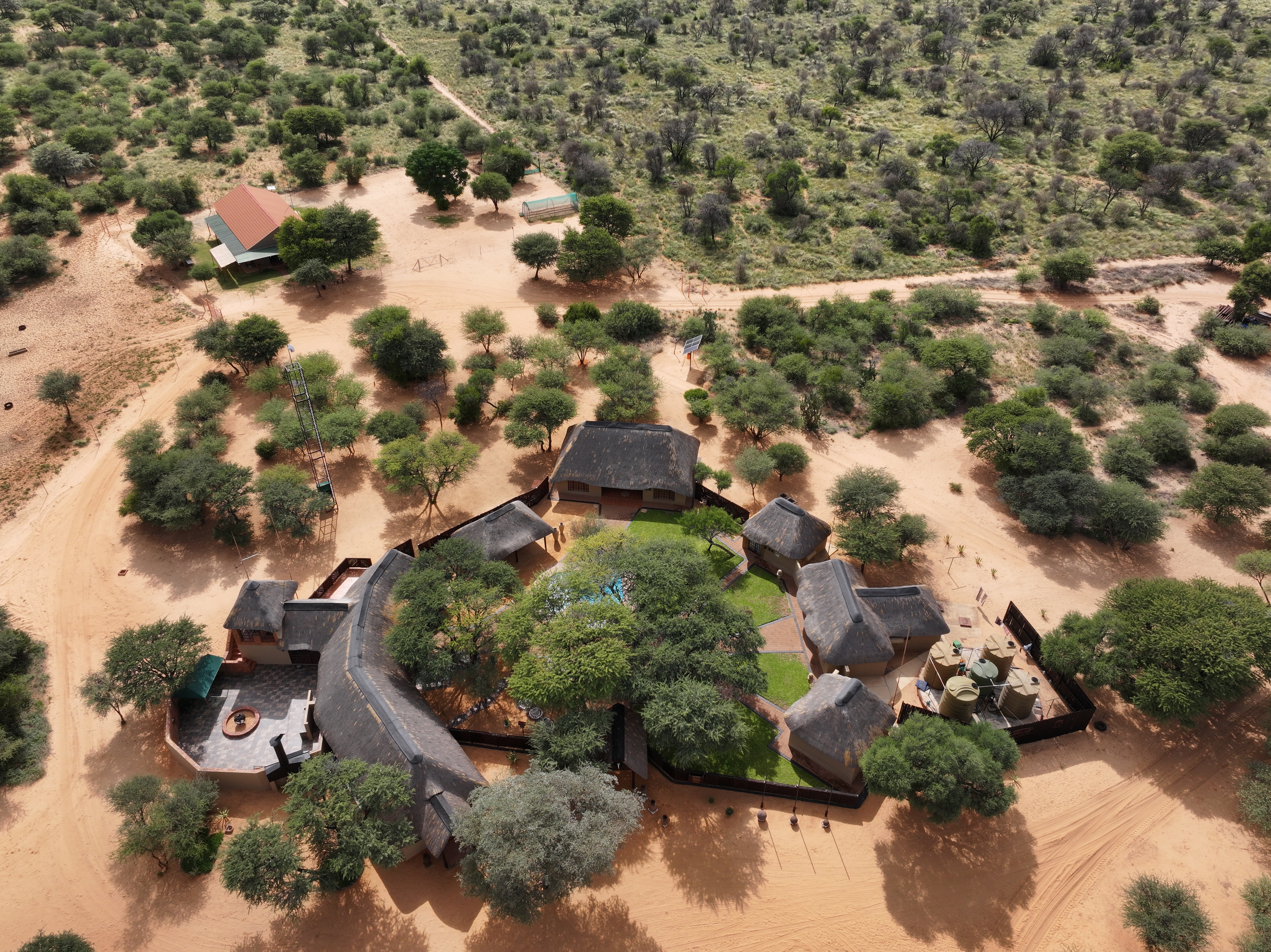 Kalahari landscape