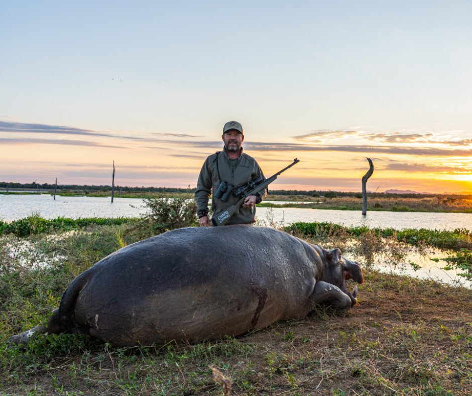Robert Beall with a hippopotamus