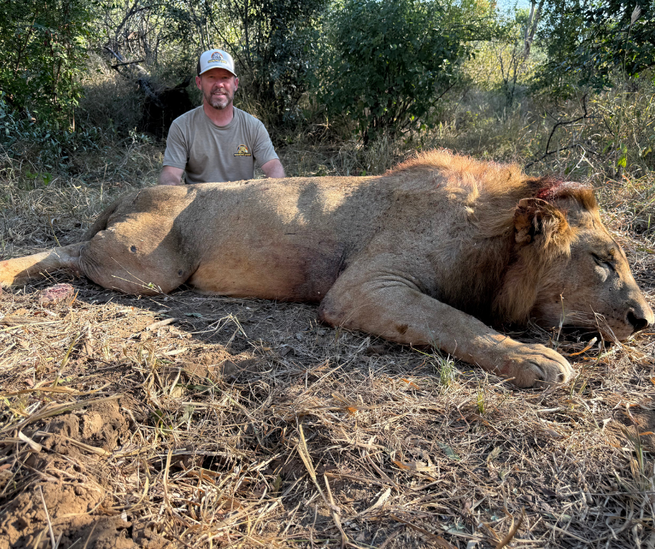 Robert Beall with a lion