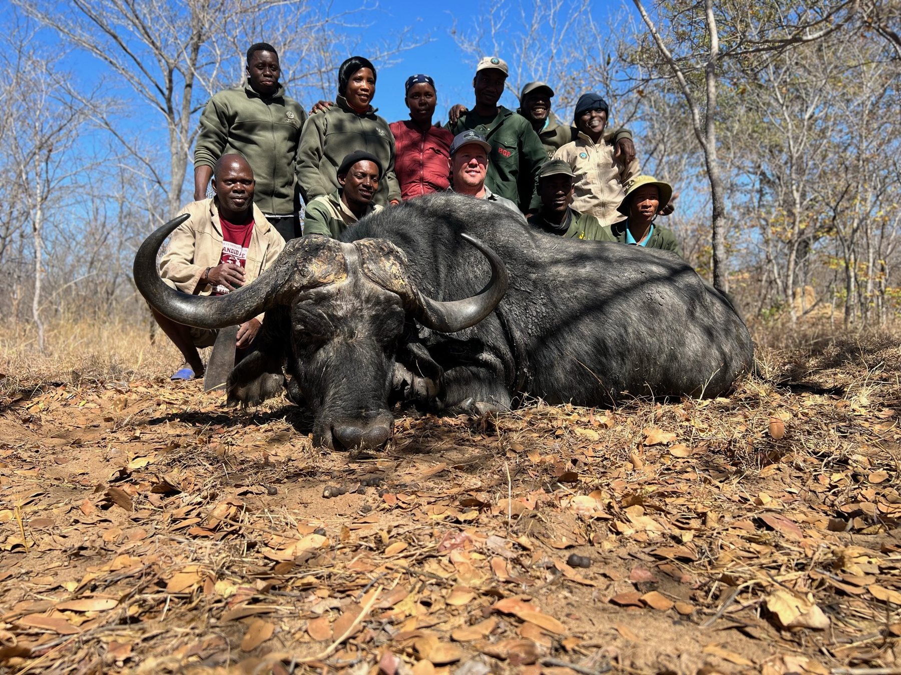 Cape buffalo trophy hunt with the hunting team
