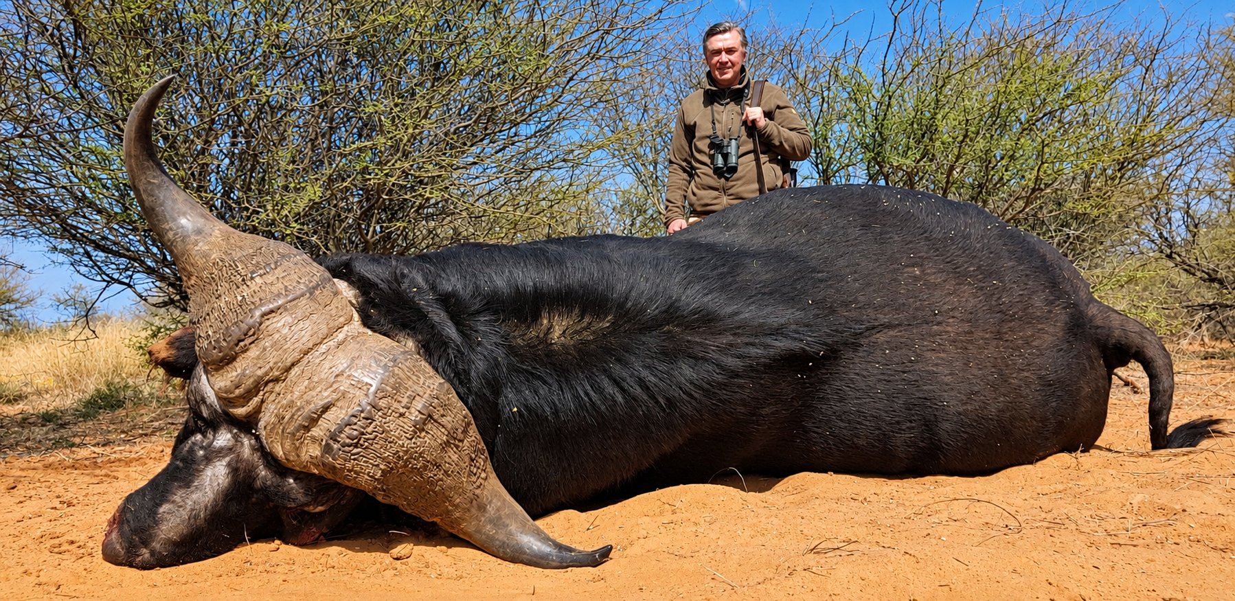 Cape buffalo trophy with hunter