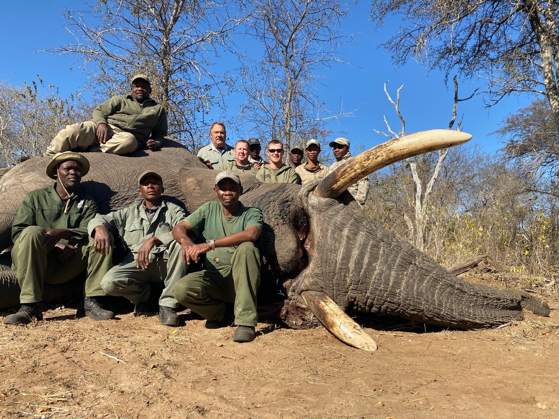 Elephant trophy hunt with the hunting team