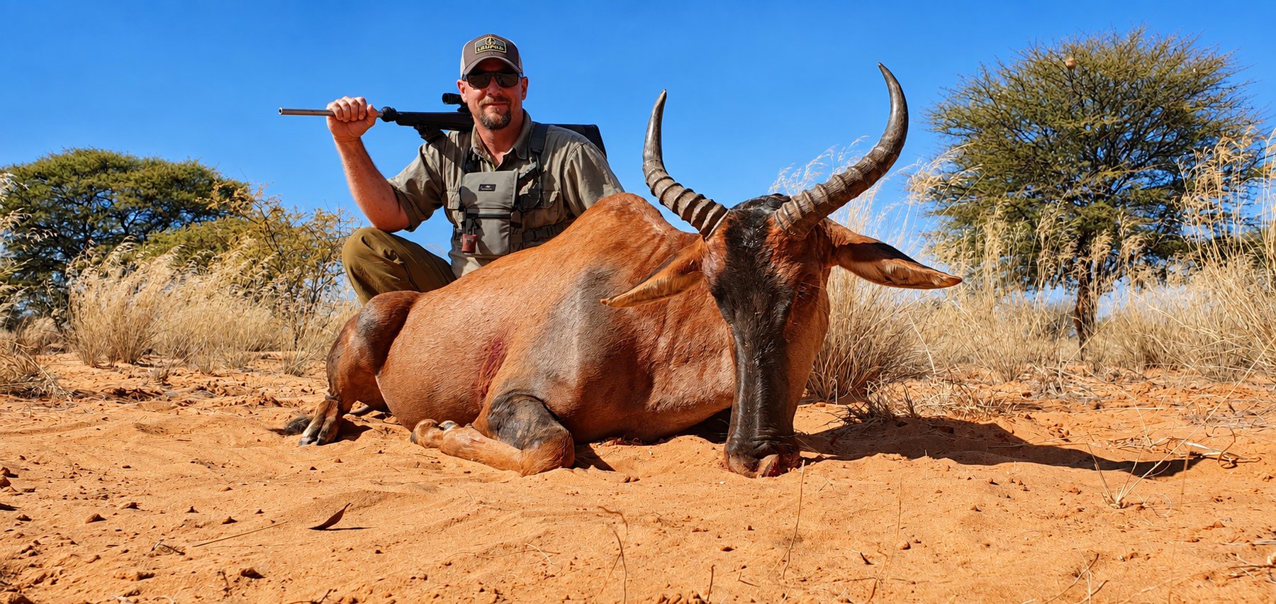 Red hartebeest trophy hunt