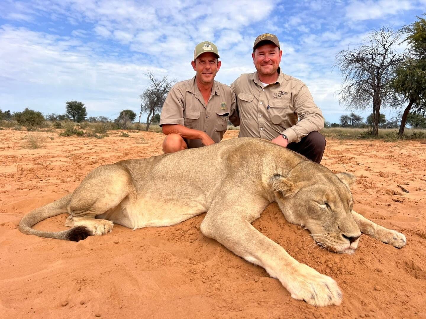 Lioness trophy hunt in the Kalahari