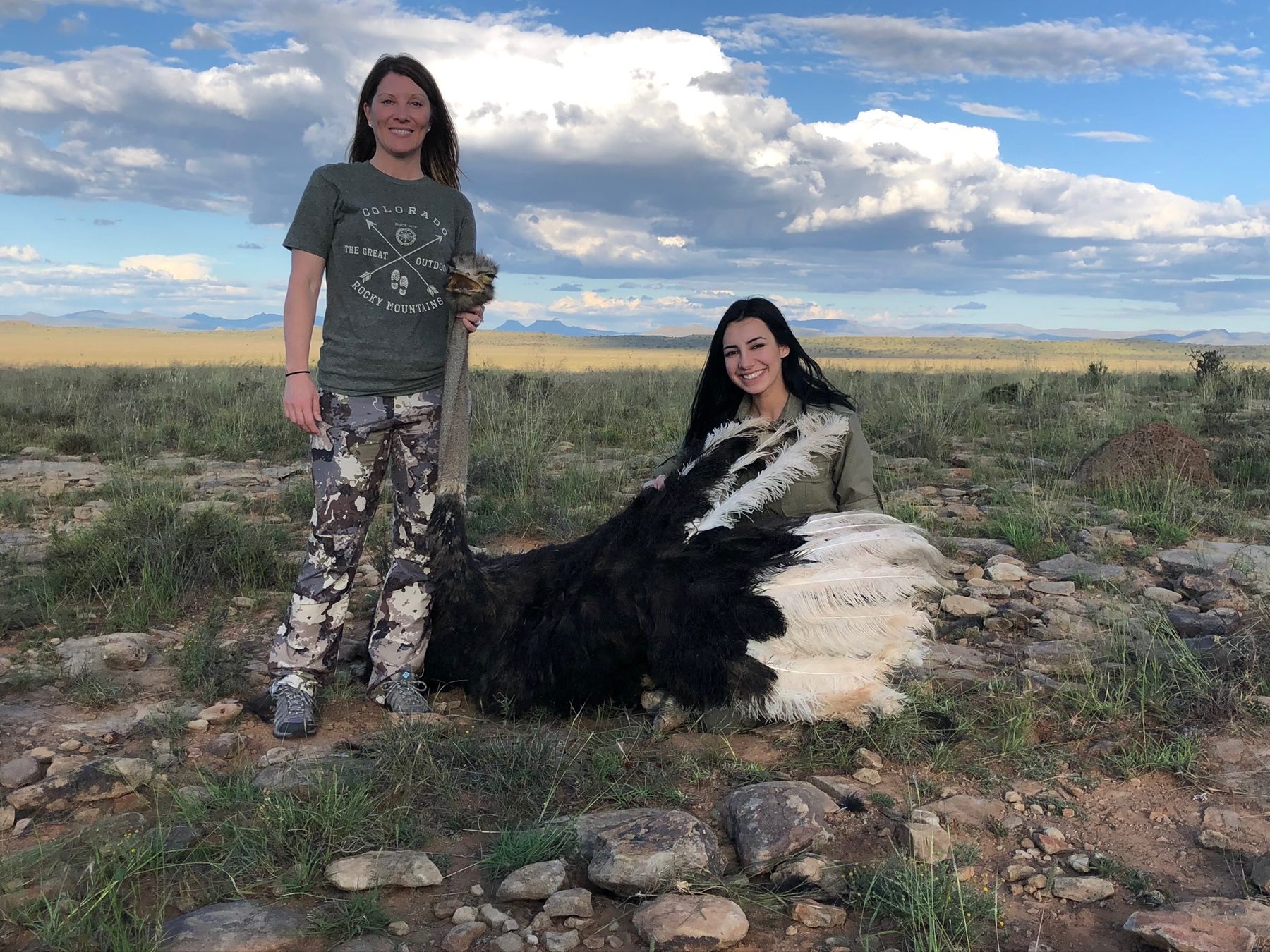 Black wildebeest trophy hunt