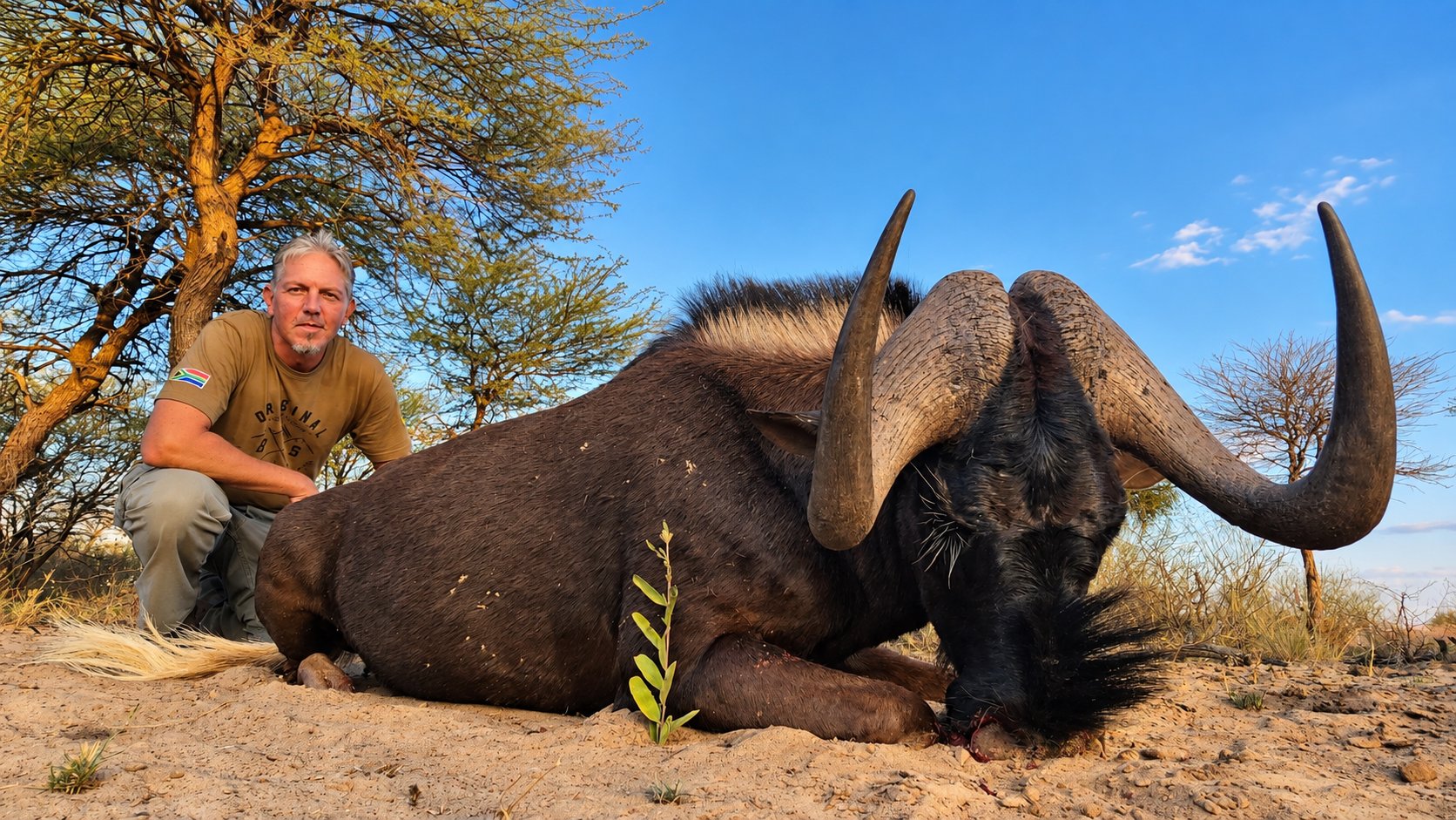 Black wildebeest trophy hunt