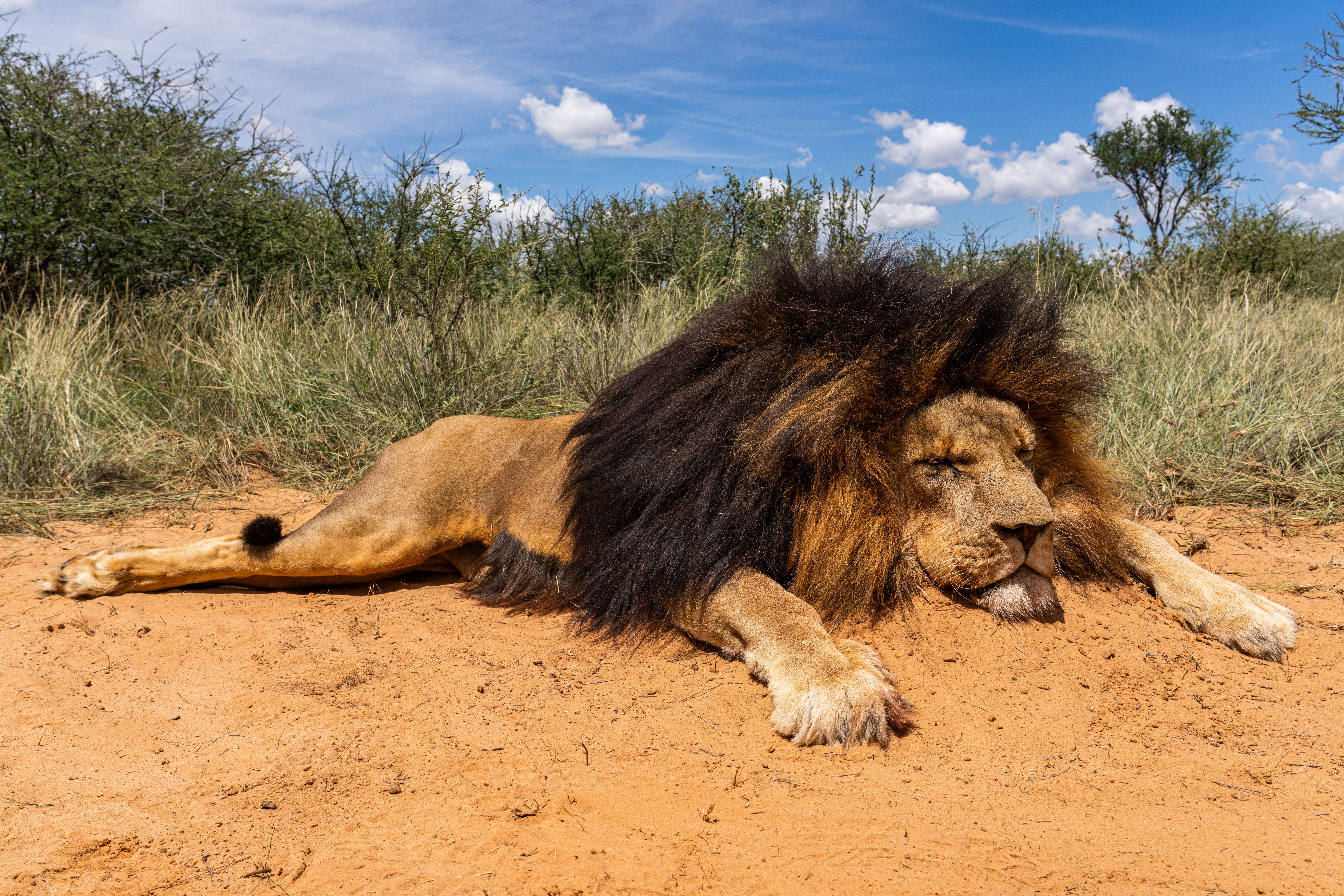 Mankwe Kalahari Lodge